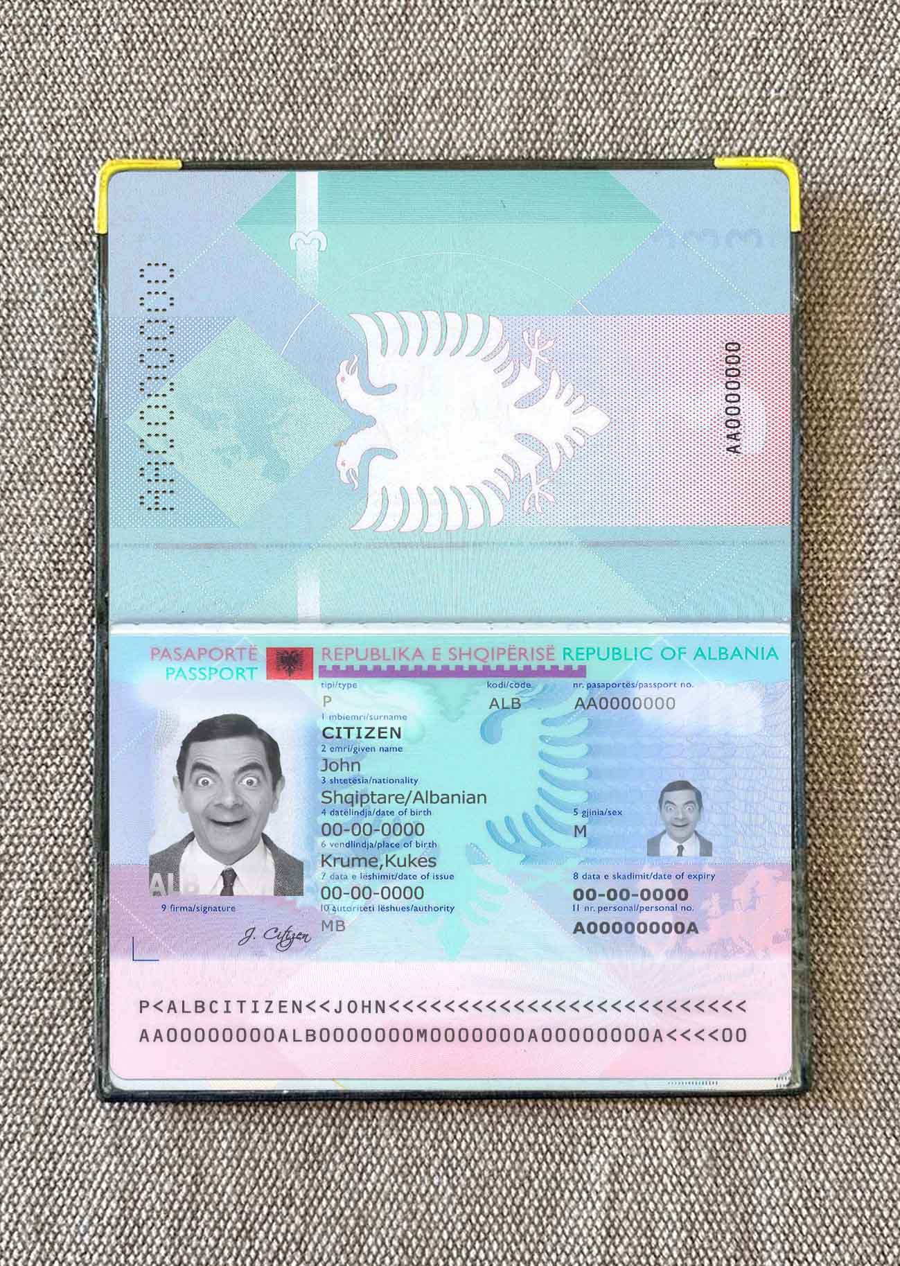 Albania passport photo look PSD template